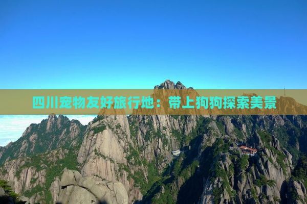 四川宠物友好旅行地：带上狗狗探索美景