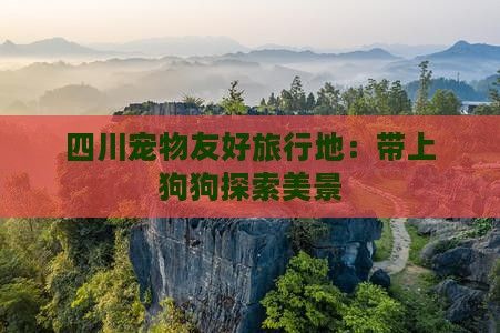 四川宠物友好旅行地：带上狗狗探索美景