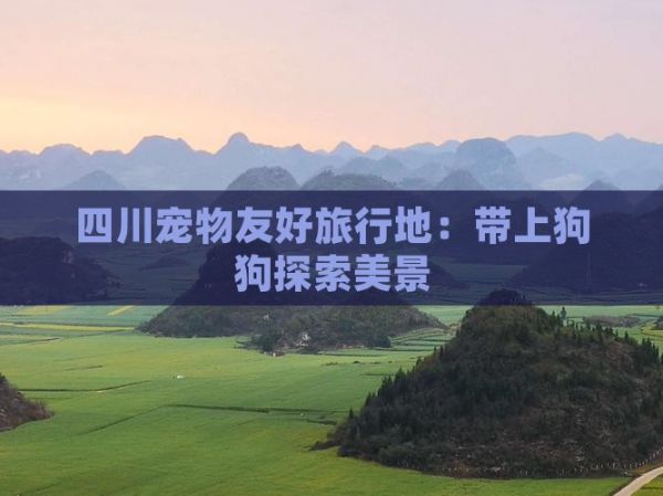 四川宠物友好旅行地：带上狗狗探索美景