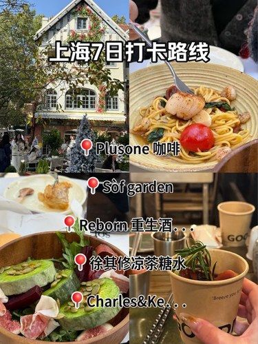 上海7日打卡路线