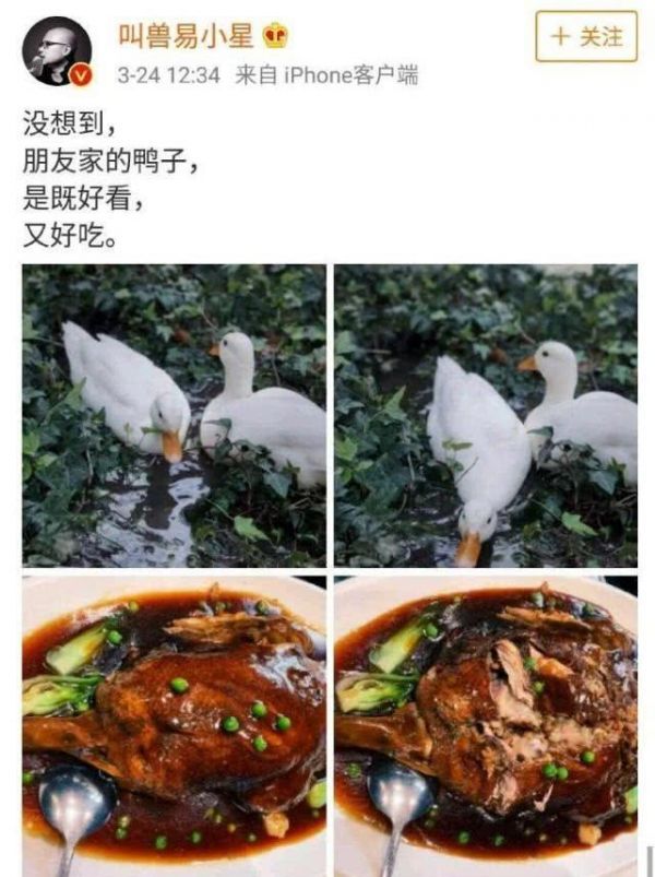 王思聪做八宝鸭款待朋友，网友爆料鸭子曾是校长宠物，身价上万！