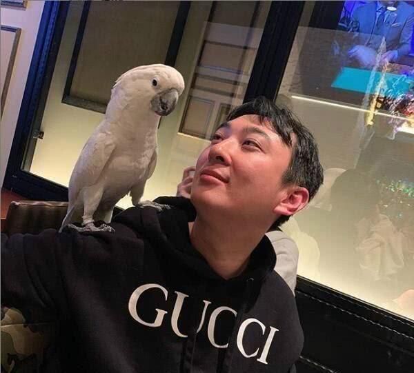 王思聪做八宝鸭款待朋友，网友爆料鸭子曾是校长宠物，身价上万！