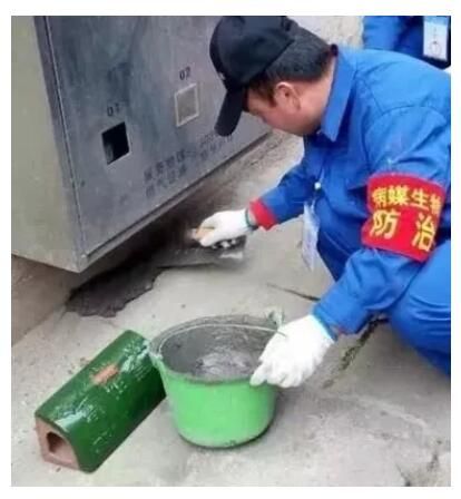鼠盒6.jpg