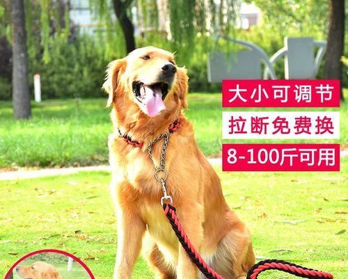 狗狗下货，最补的宠物食品推荐（以宠物为主）