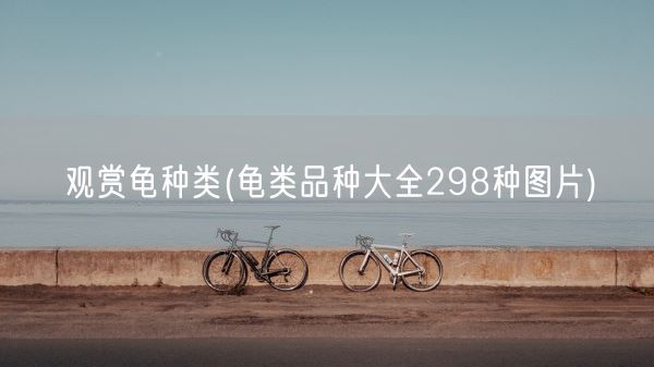 观赏龟种类(龟类品种大全298种图片)(图1)