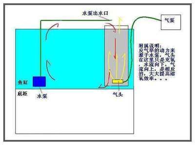 滕州二手鱼缸交易市场， 滕州二手鱼缸交易市场在哪里 虎斑恐龙鱼