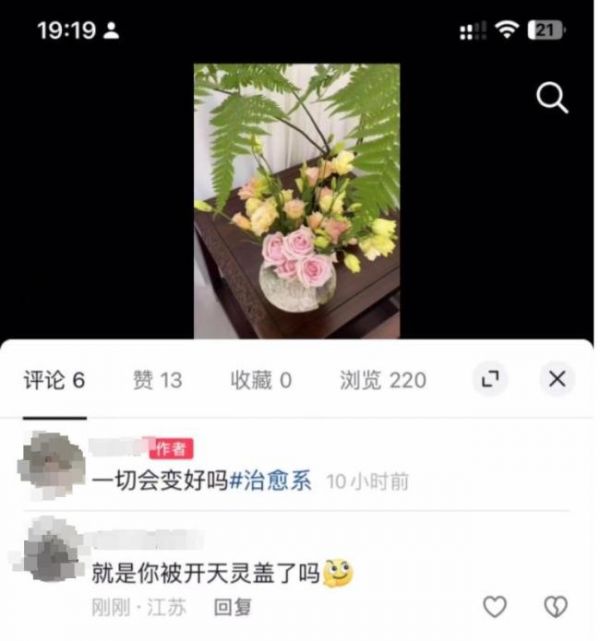 主人取回狗狗被要求不准带货接广告 天价赔偿合同引争议