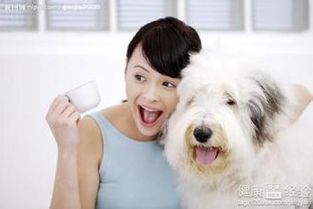 “宠物弓形虫检查，北京价格透明，关爱宠物健康！”