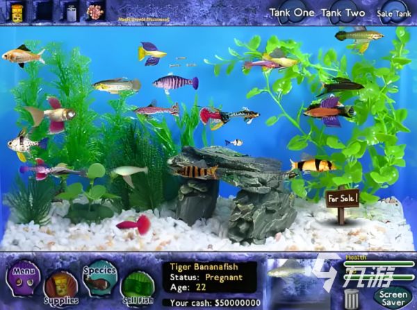 2024单机养鱼游戏水族箱手游推荐 最火的养鱼手游分享