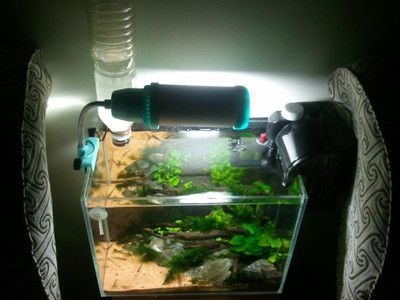 diy鱼缸自动补水器怎么用：diy鱼缸智能补水器的组成与使用方法 鱼缸百科 第3张