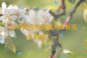 今日萌宠知识幼犬成长完全手册（一）