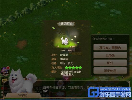 萌宠乐园吃鸡保底，策略、技巧与宠物养成