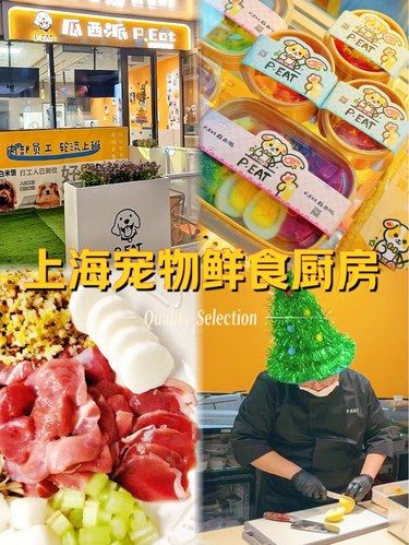 上海宠物鲜食厨房——一家有温度的宠物餐厅