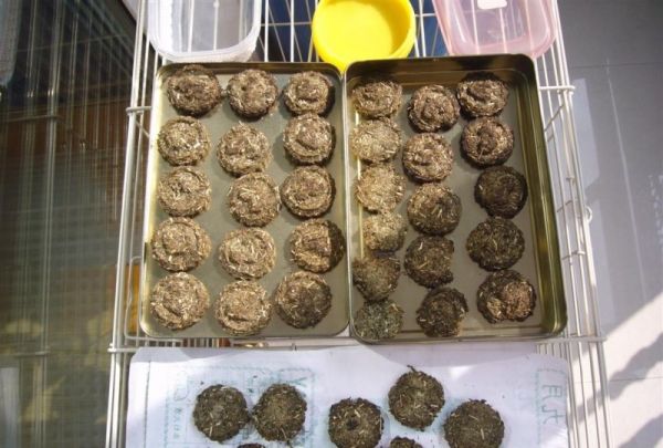 如何自制兔粮,怎样自制宠物兔粮盒装
