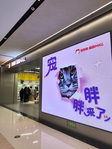 宠物天堂啊 万象天地宠胖胖太赞了