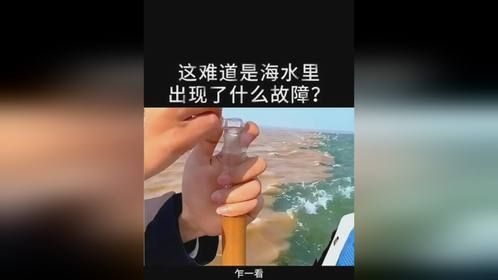 这难道是海水里出现了什么故障？