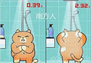 清洁难题:如何给爱鸟洗澡?