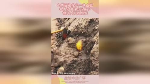 大哥河边挖出一块土豆，被路过富豪6万买下，切开大哥秒后悔