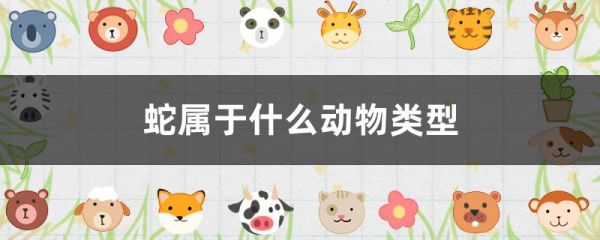 蛇属于什么动物类型