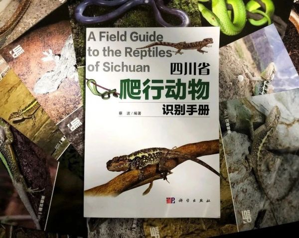《四川省爬行动物识别手册》 受访者供图