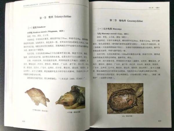《四川省爬行动物识别手册》 受访者供图