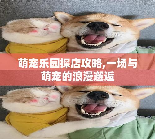 萌宠乐园探店攻略,一场与萌宠的浪漫邂逅
