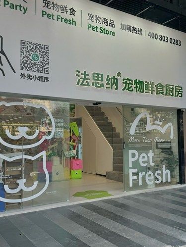 宠物的健康饮食小实验室