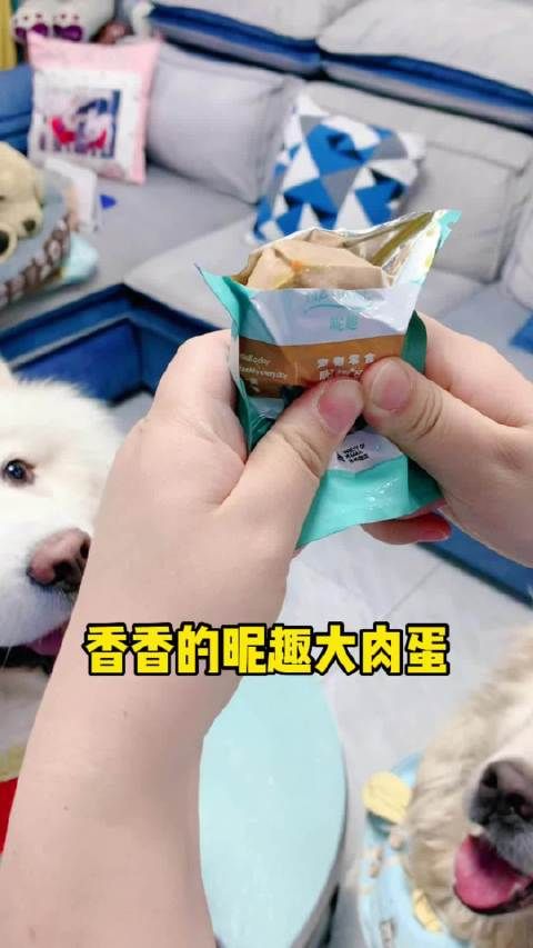 家有萌宠 真的没有哪个小狗狗能拒绝这个昵趣蛋吧,四种口味……