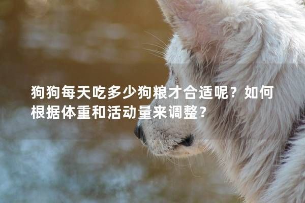 狗狗每天吃多少狗粮才合适呢？如何根据体重和活动量来调整？