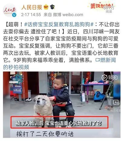 宠物粮毛利揭秘，养宠不花冤枉钱！