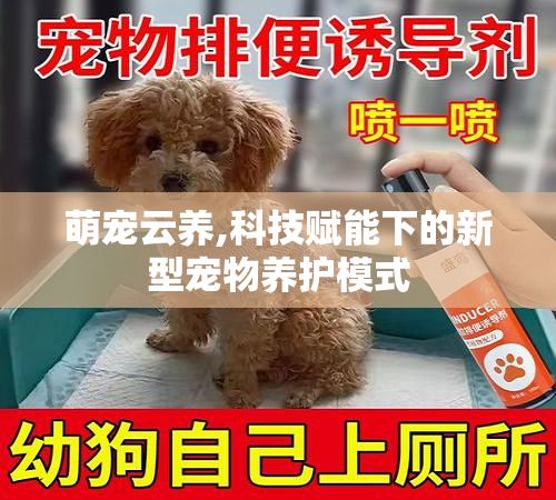 萌宠云养,科技赋能下的新型宠物养护模式