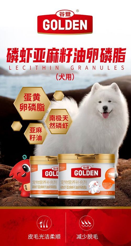 “当阳宠物待产养护，呵护爱宠每一刻！”