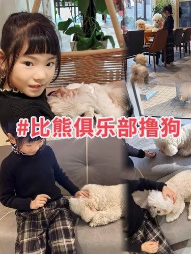 狗狗的快乐，我的快乐