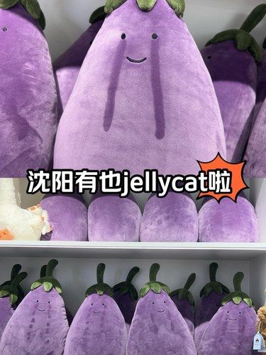 沈阳也能买到jellycat啦！