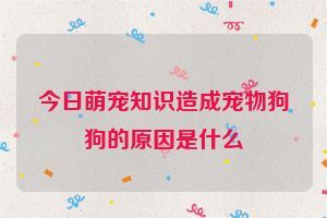今日萌宠知识造成宠物狗狗的原因是什么
