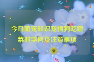 今日萌宠知识宠物狗吃蔬菜的学问及注意事项