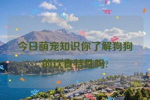 今日萌宠知识你了解狗狗的饮食特性吗?