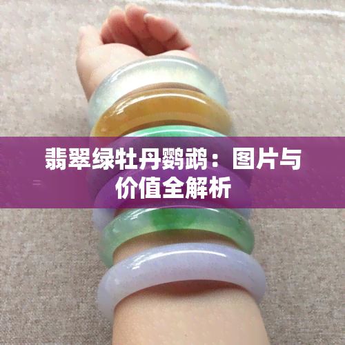 翡翠绿牡丹鹦鹉：图片与价值全解析