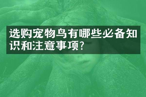 选购宠物鸟有哪些必备知识和注意事项？