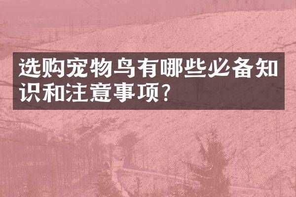 选购宠物鸟有哪些必备知识和注意事项？