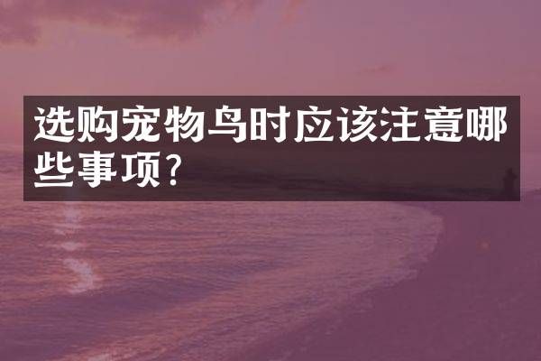 选购宠物鸟时应该注意哪些事项？