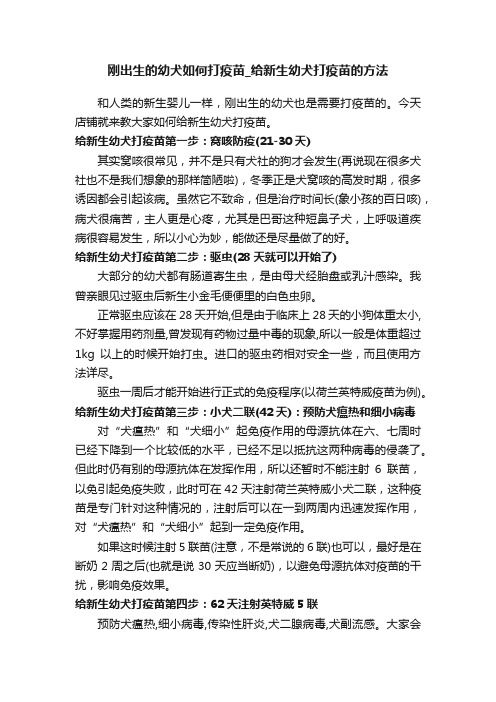 刚出生的幼犬如何打疫苗_给新生幼犬打疫苗的方法