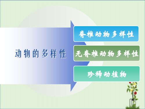 11.动物的多样性汇总