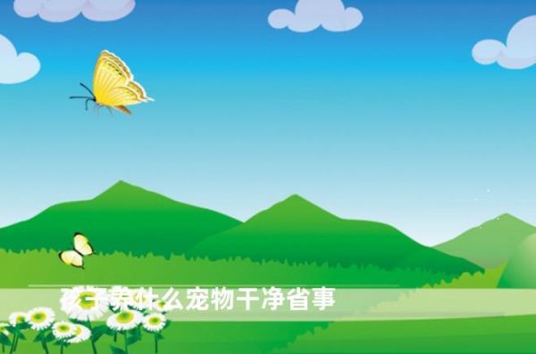 孩子养什么宠物干净省事