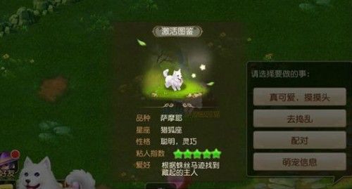 梦幻西游手游宠物喂养攻略及宠物食盆获取方法