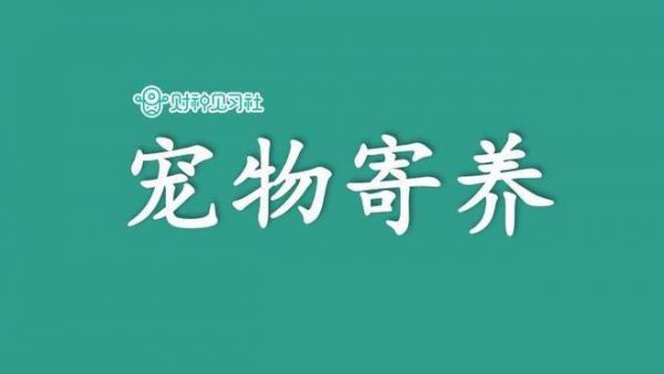 过年回家仓鼠怎么办