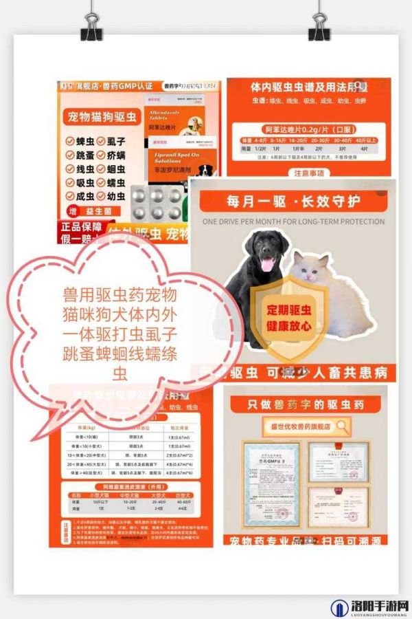 ZOOMSERVO 兽狗：宠物智能新选择