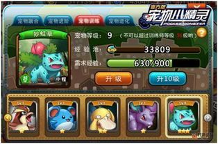 “宠物升级攻略：146级，轻松达成！”