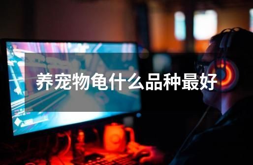 养宠物龟什么品种最好-第1张-游戏信息-启与高科技