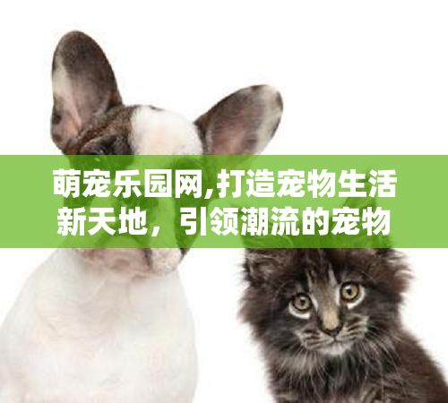 萌宠乐园网,打造宠物生活新天地，引领潮流的宠物生态圈